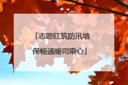 志愿红筑防汛墙 保畅通暖司乘心