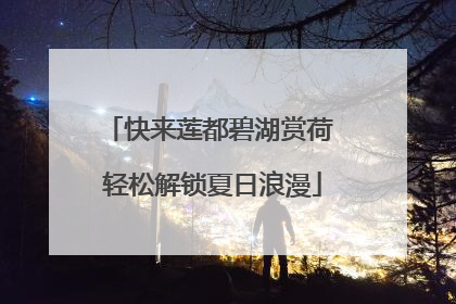 快来莲都碧湖赏荷 轻松解锁夏日浪漫