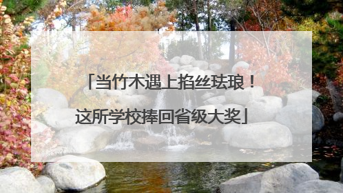 当竹木遇上掐丝珐琅！这所学校捧回省级大奖
