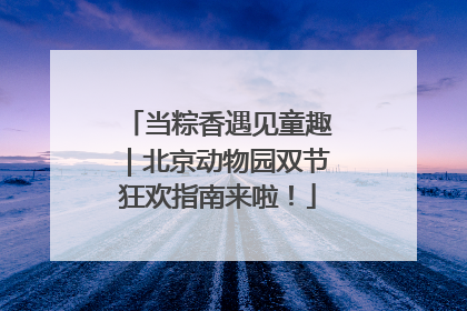 当粽香遇见童趣｜北京动物园双节狂欢指南来啦！