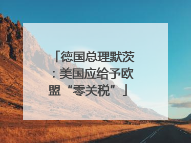 德国总理默茨：美国应给予欧盟“零关税”