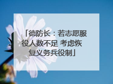 德防长：若志愿服役人数不足 考虑恢复义务兵役制