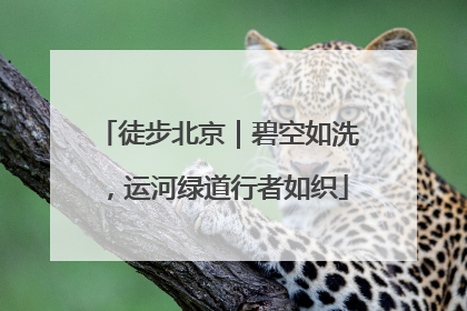 徒步北京｜碧空如洗，运河绿道行者如织