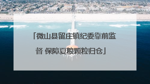微山县留庄镇纪委靠前监督 保障夏粮颗粒归仓