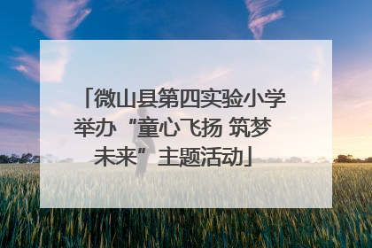 微山县第四实验小学举办“童心飞扬 筑梦未来”主题活动