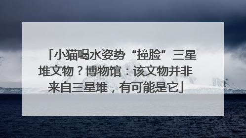 小猫喝水姿势“撞脸”三星堆文物？博物馆：该文物并非来自三星堆，有可能是它