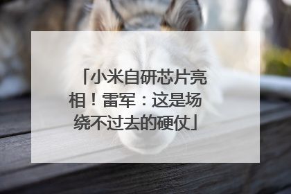 小米自研芯片亮相！雷军：这是场绕不过去的硬仗