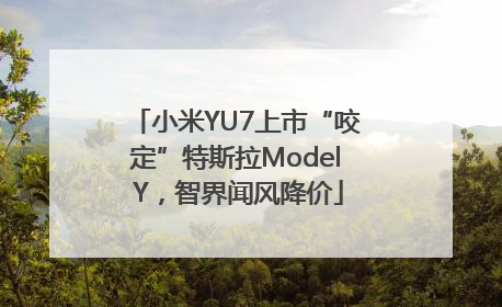 小米YU7上市“咬定”特斯拉Model Y，智界闻风降价