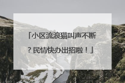 小区流浪猫叫声不断？民情快办出招啦！