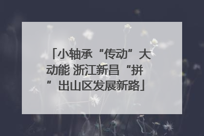 小轴承“传动”大动能 浙江新昌“拼”出山区发展新路