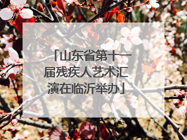 山东省第十一届残疾人艺术汇演在临沂举办