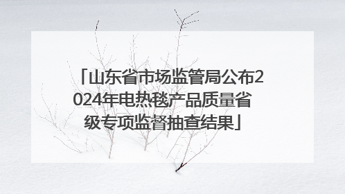 山东省市场监管局公布2024年电热毯产品质量省级专项监督抽查结果
