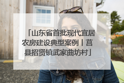 山东省首批现代宜居农房建设典型案例丨莒县招贤镇武家曲坊村