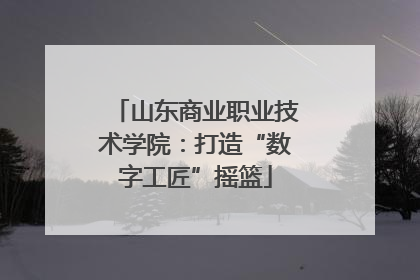 山东商业职业技术学院：打造“数字工匠”摇篮