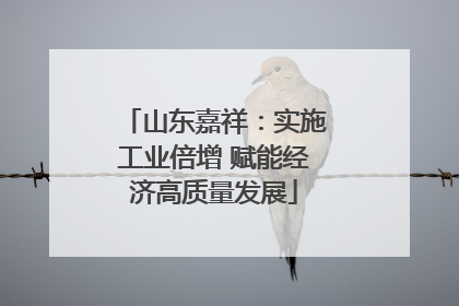 山东嘉祥：实施工业倍增 赋能经济高质量发展
