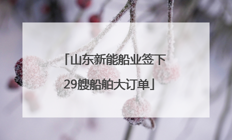 山东新能船业签下29艘船舶大订单