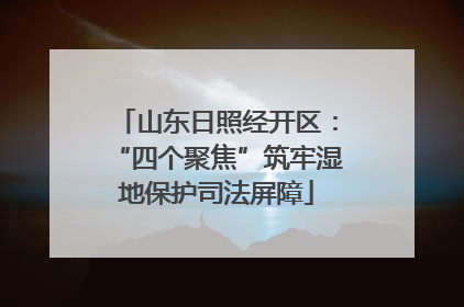 山东日照经开区：“四个聚焦”筑牢湿地保护司法屏障