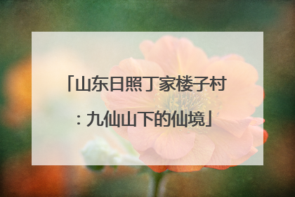 山东日照丁家楼子村：九仙山下的仙境