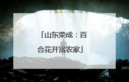 山东荣成：百合花开富农家