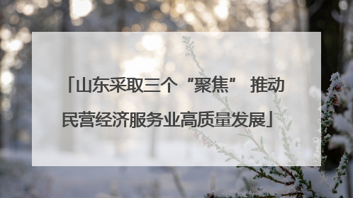 山东采取三个“聚焦” 推动民营经济服务业高质量发展