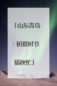 山东青岛：初夏时节插秧忙