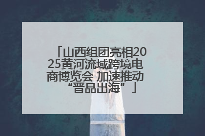 山西组团亮相2025黄河流域跨境电商博览会 加速推动“晋品出海”