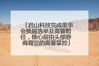 岩山科技完成董事会换届选举及高管聘任，核心层由头部券商背景的高管掌控
