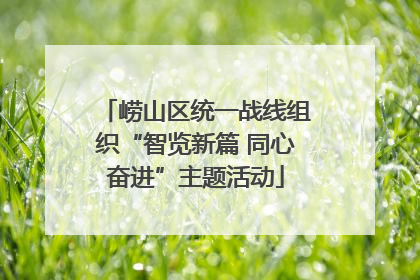 崂山区统一战线组织“智览新篇 同心奋进”主题活动