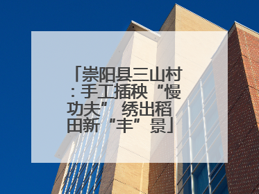 崇阳县三山村：手工插秧“慢功夫” 绣出稻田新“丰”景