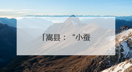 嵩县：“小蚕茧”织就助农增收新画卷