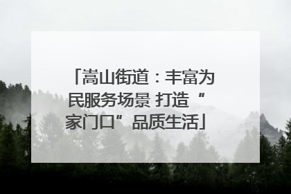 嵩山街道：丰富为民服务场景 打造“家门口”品质生活