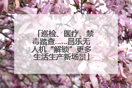 巡检、医疗、禁毒踏查……昌乐无人机“解锁”更多生活生产新场景
