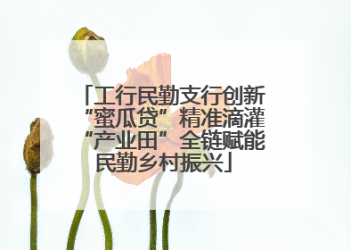 工行民勤支行创新“蜜瓜贷”精准滴灌“产业田”全链赋能民勤乡村振兴