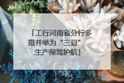 工行河南省分行多措并举为“三夏” 生产保驾护航