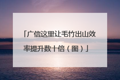 广信这里让毛竹出山效率提升数十倍（图）