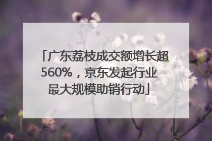 广东荔枝成交额增长超560%，京东发起行业最大规模助销行动