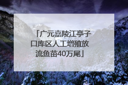 广元嘉陵江亭子口库区人工增殖放流鱼苗40万尾
