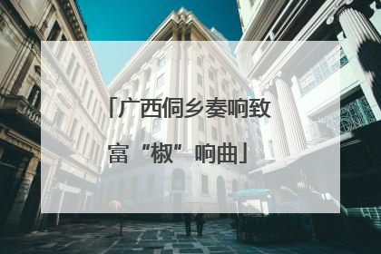 广西侗乡奏响致富“椒”响曲