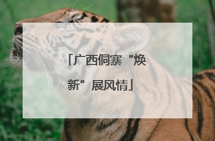 广西侗寨“焕新”展风情