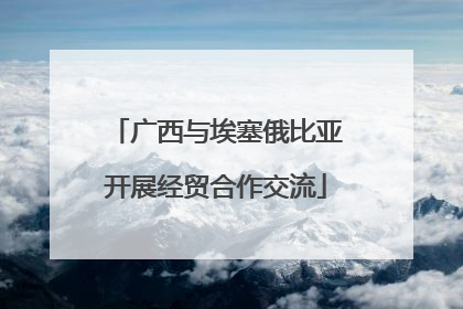广西与埃塞俄比亚开展经贸合作交流