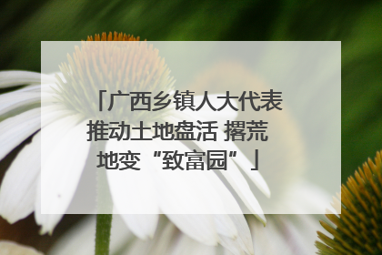 广西乡镇人大代表推动土地盘活 撂荒地变“致富园”