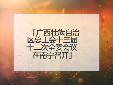 广西壮族自治区总工会十三届十二次全委会议在南宁召开