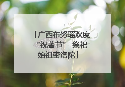 广西布努瑶欢度“祝著节” 祭祀始祖密洛陀