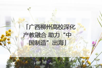 广西柳州高校深化产教融合 助力“中国制造”出海