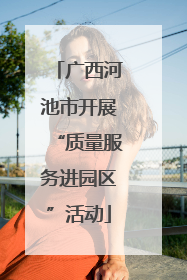 广西河池市开展“质量服务进园区”活动