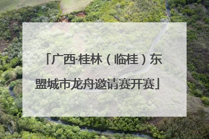 广西·桂林（临桂）东盟城市龙舟邀请赛开赛