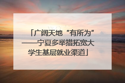 广阔天地“有所为”——宁夏多举措拓宽大学生基层就业渠道