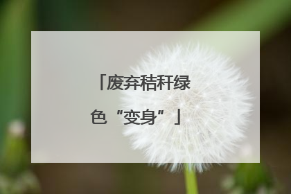 废弃秸秆绿色“变身”