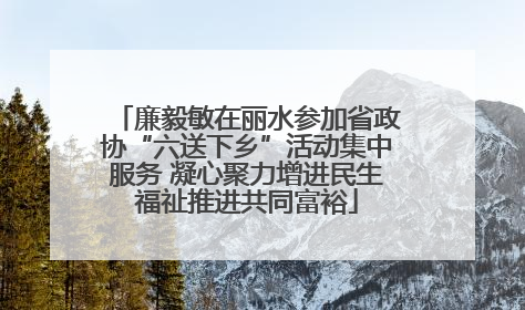 廉毅敏在丽水参加省政协“六送下乡”活动集中服务 凝心聚力增进民生福祉推进共同富裕