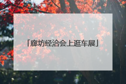 廊坊经洽会上逛车展